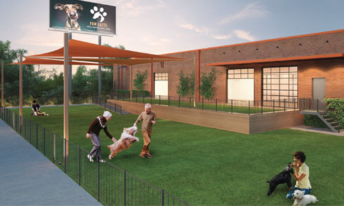 Paw Lofts Pet Resort Dallas