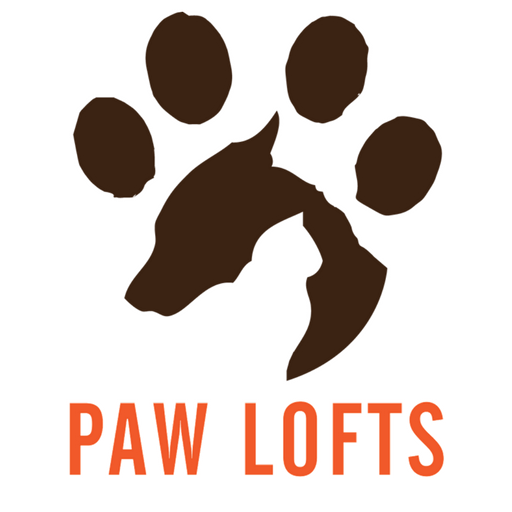 Paw Lofts Pet Resort | Dallas, TX | Georgetown, TX