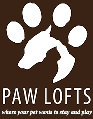 Paw Lofts Pet Resort | Dallas, TX | Georgetown, TX