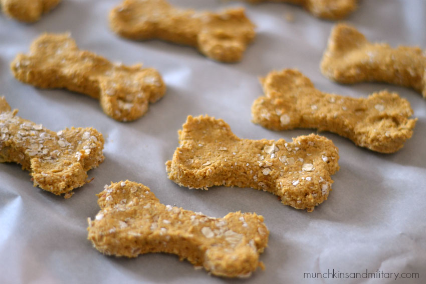 Pumpkin Apple Homemade Dog Treats